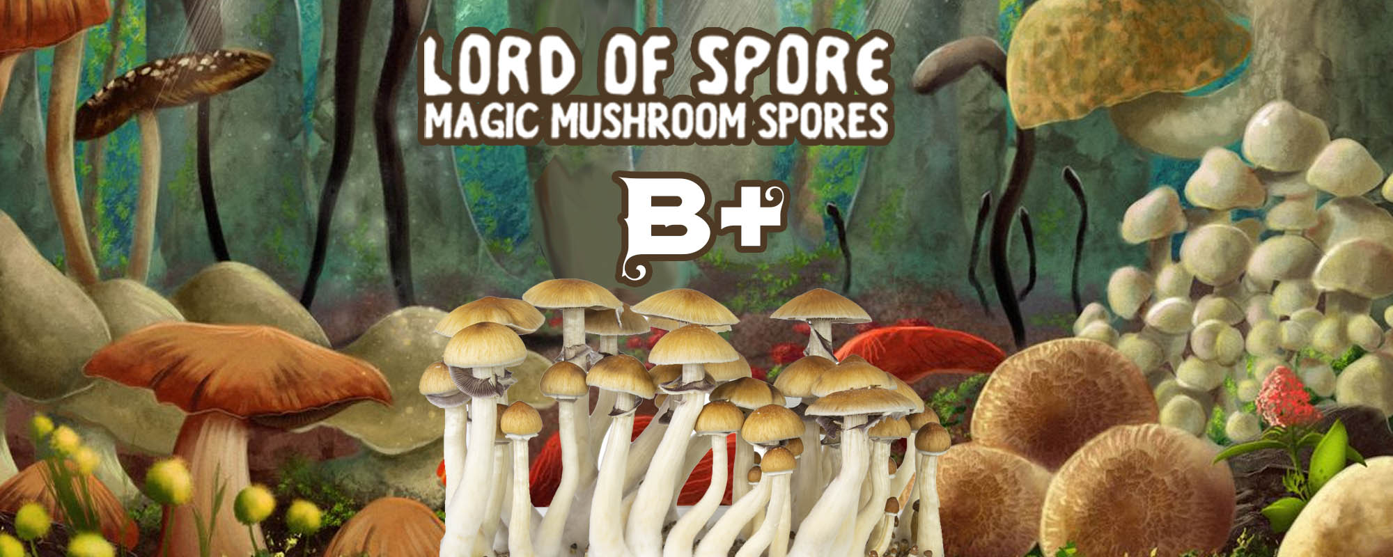 Magic Mushroom Spores - B+ Lore of Spore