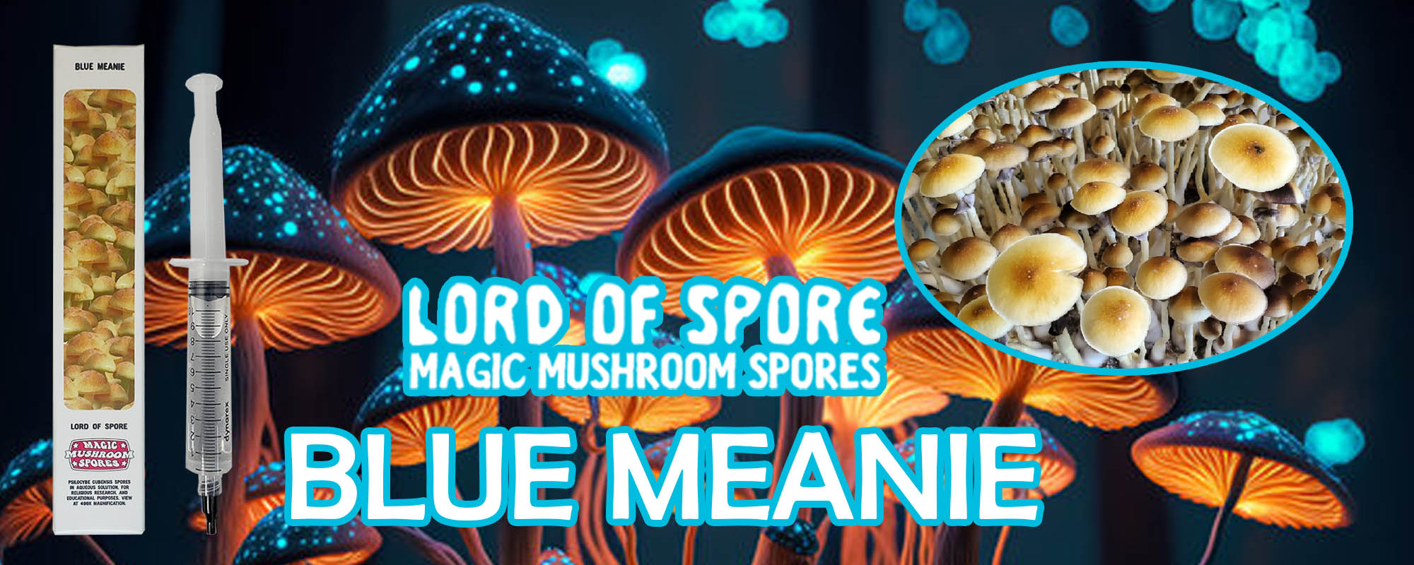 Lord of Spore Blue Meanie Magic Mushroom Spores