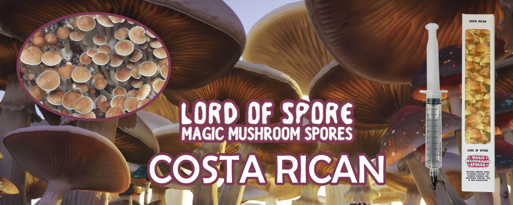 Lord of Spore Coasta Rican Mushroom Spores