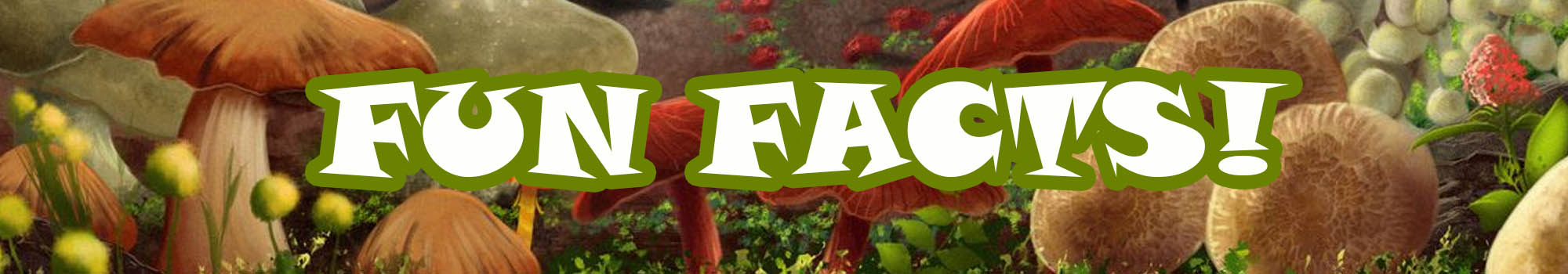 Fun Facts about Magic Mushrooms