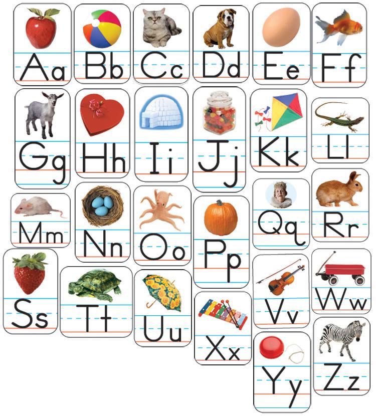 Carson Dellosa Alphabet: Photographic Realistic Stickers | CD-168012 ...