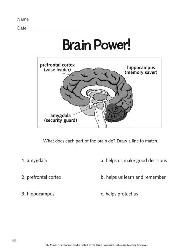 mindup brain video