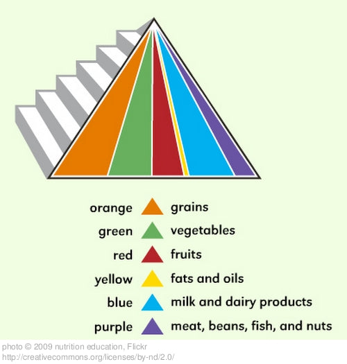 Fda Food Pyramid