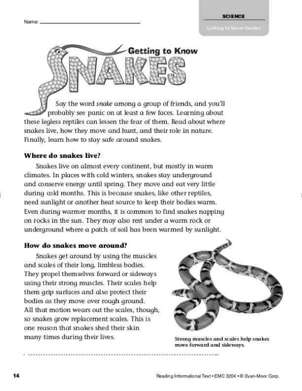 Змейка текст. Text about the Snake. Poem about Snake. About Snakes for Kids. Snake text English for Kids.