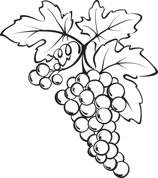Download Printable Bunch of Grapes Coloring Page - SupplyMe