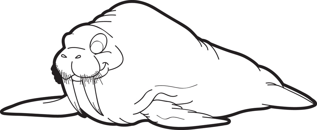 Download Printable Walrus Coloring Page for Kids - SupplyMe