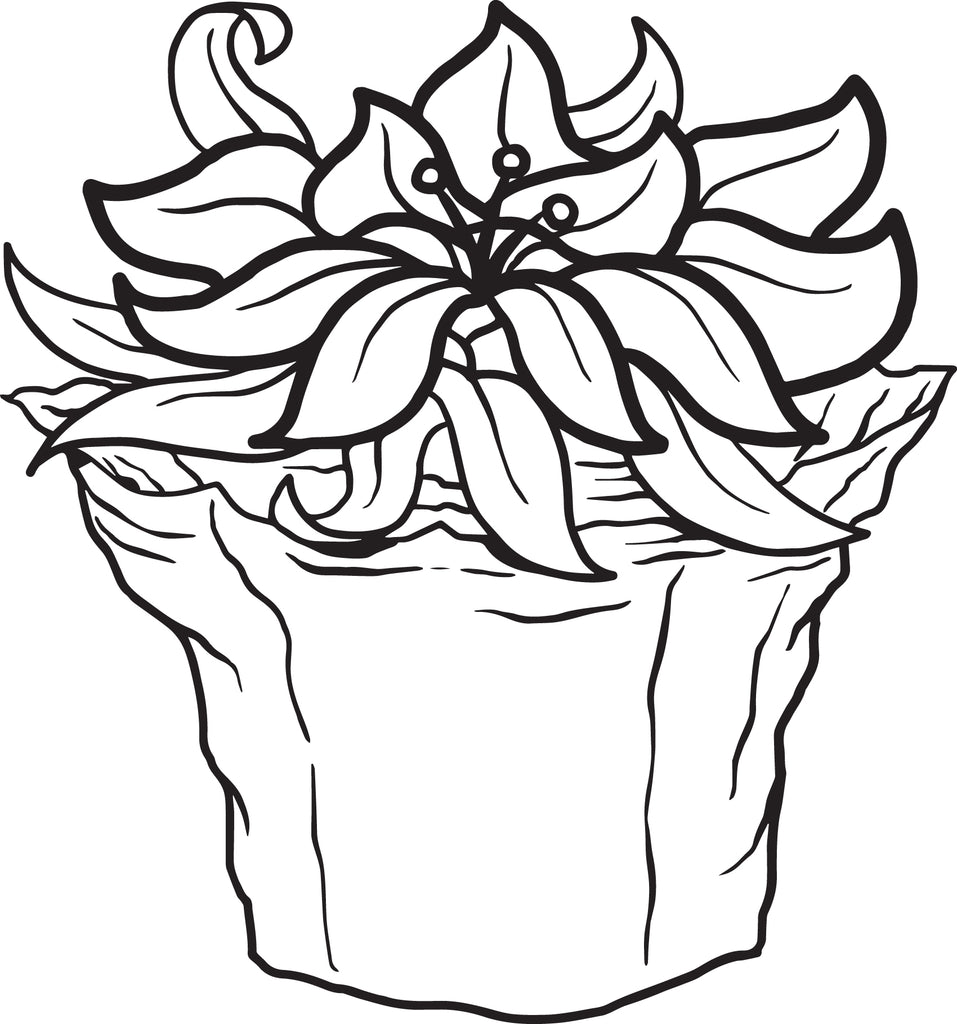 Printable Poinsettia Coloring Page For Kids Supplyme