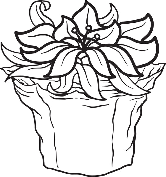 Printable Poinsettia Coloring Page for Kids – SupplyMe