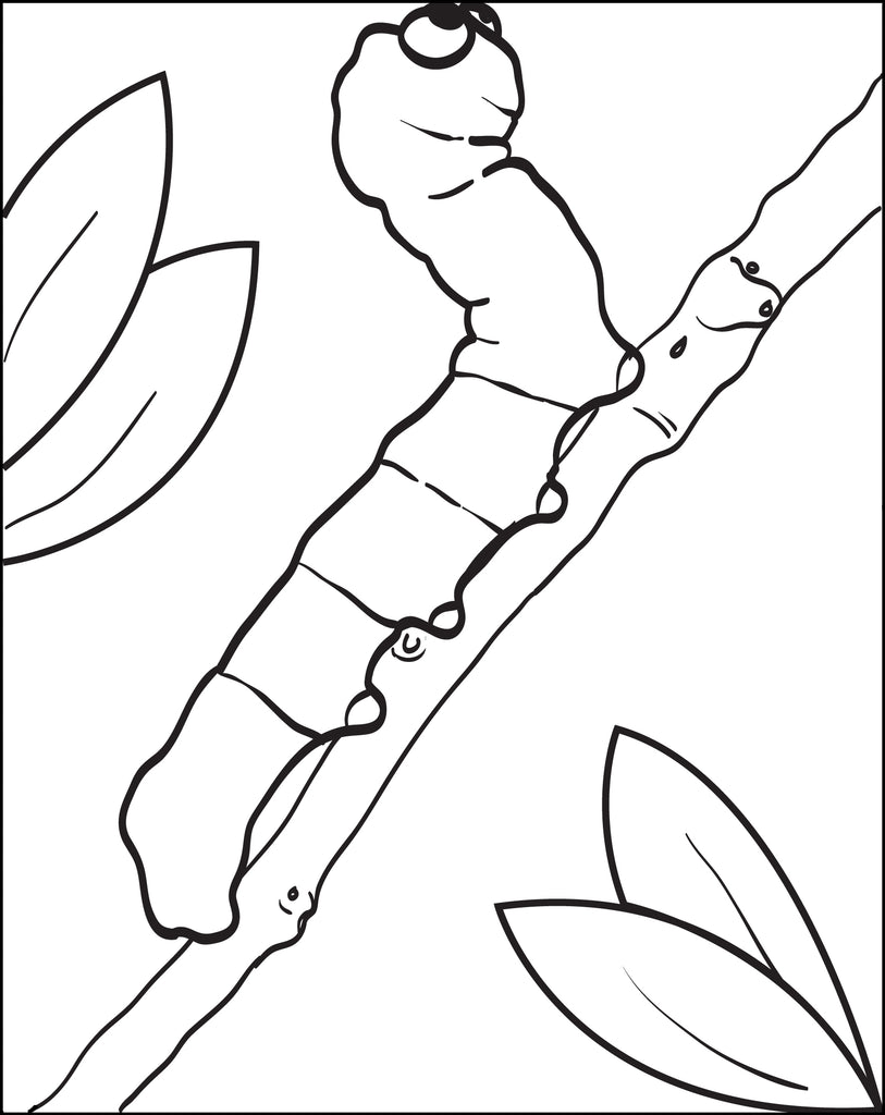 Cartoon Caterpillar Coloring Page #2