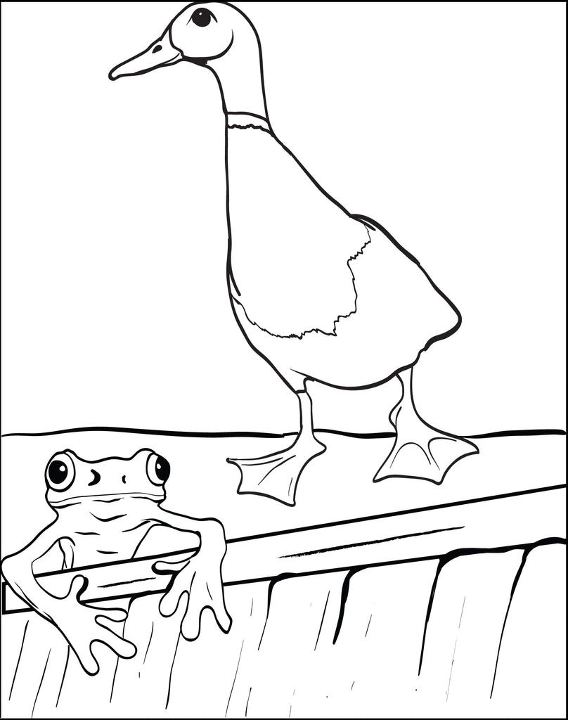 Duck and Frog Coloring Page