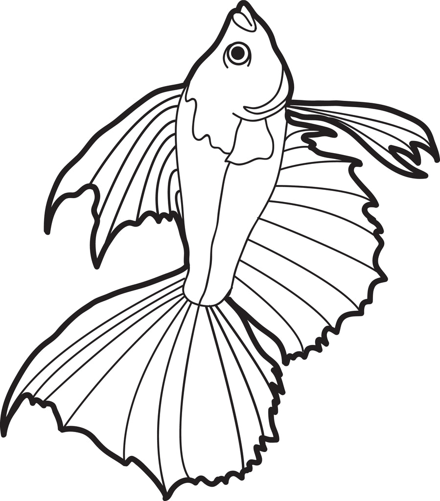 fish with large fins coloring page a4281