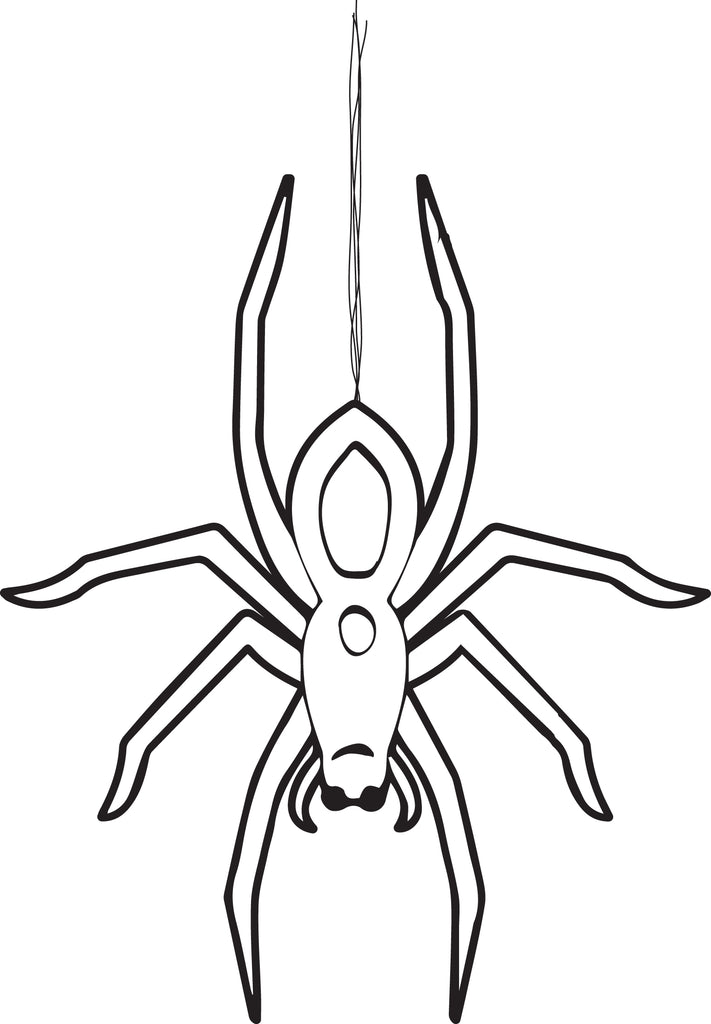 printable coloring pages of spiders