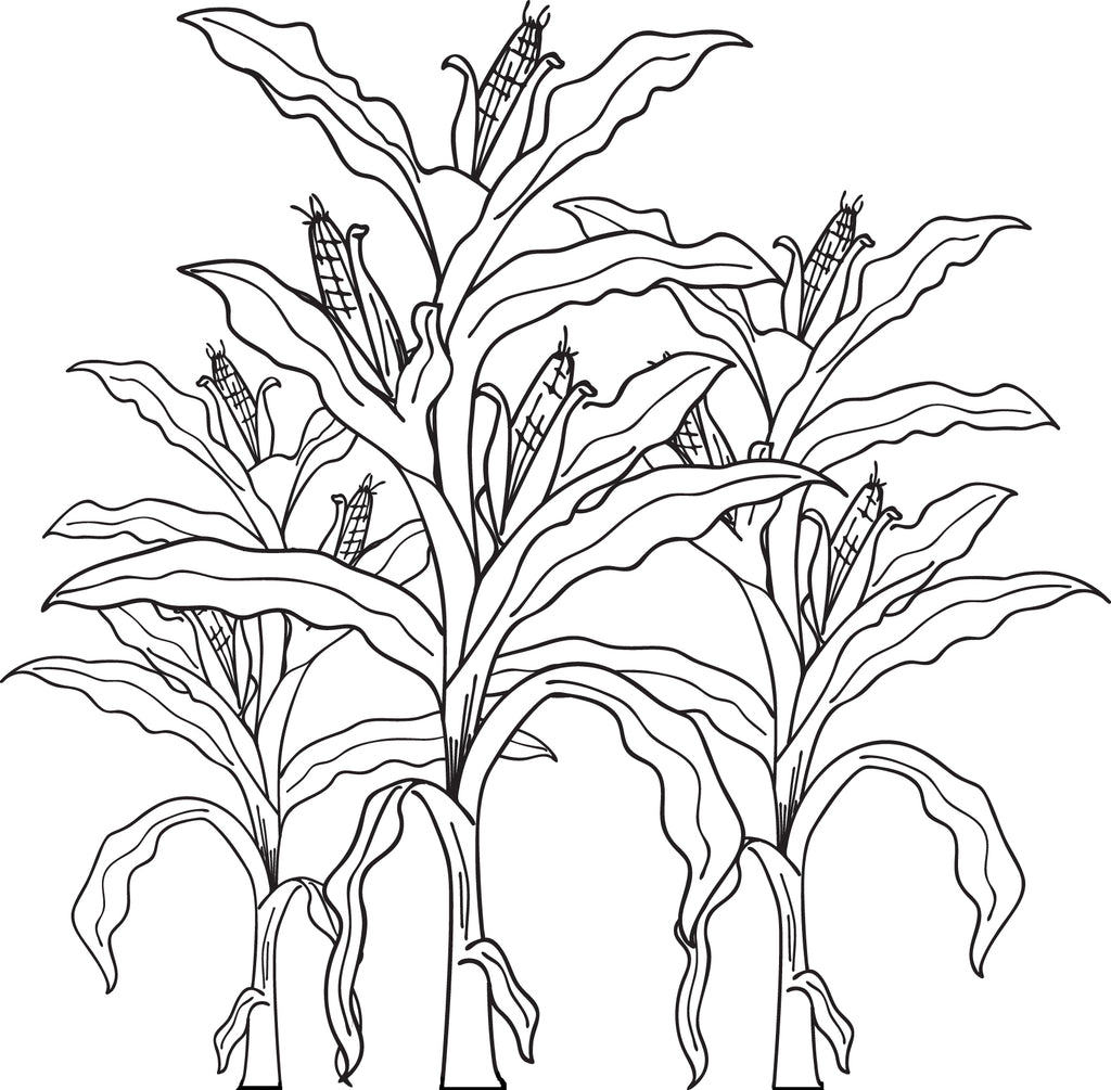 Download FREE Printable Corn Stalks Fall Coloring Page for Kids ...