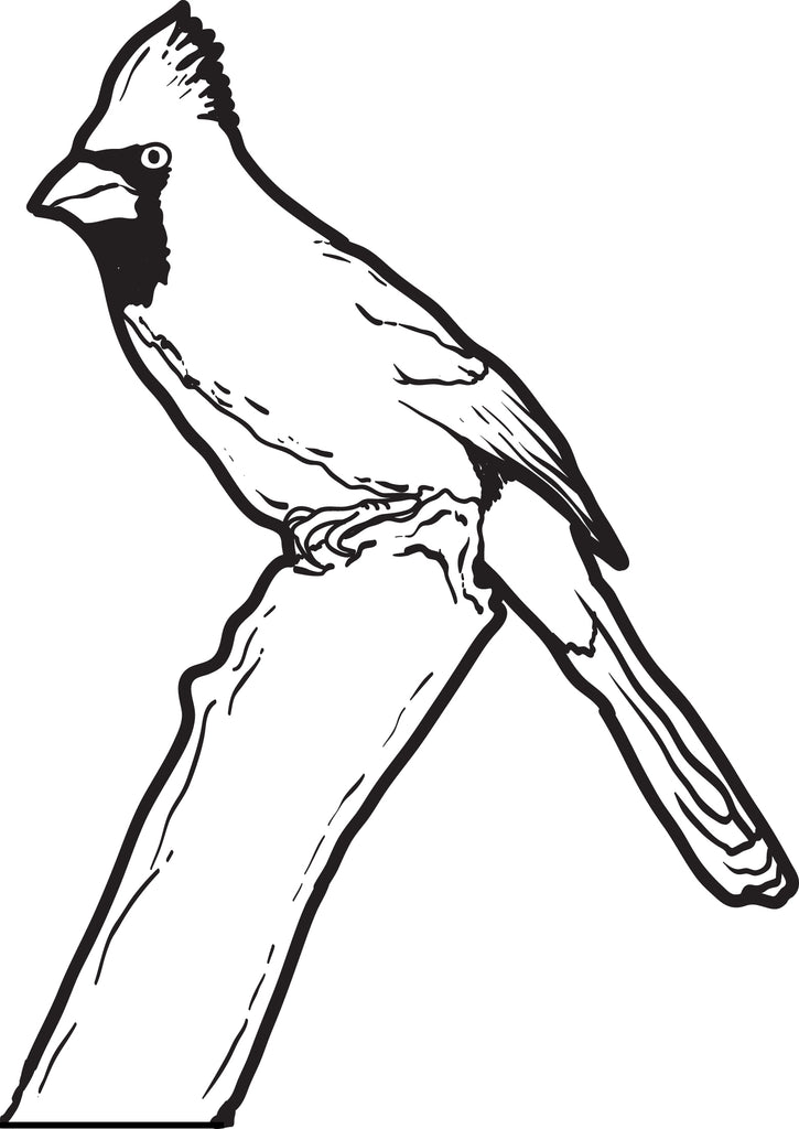 Download Printable Cardinal Coloring Page for Kids - SupplyMe