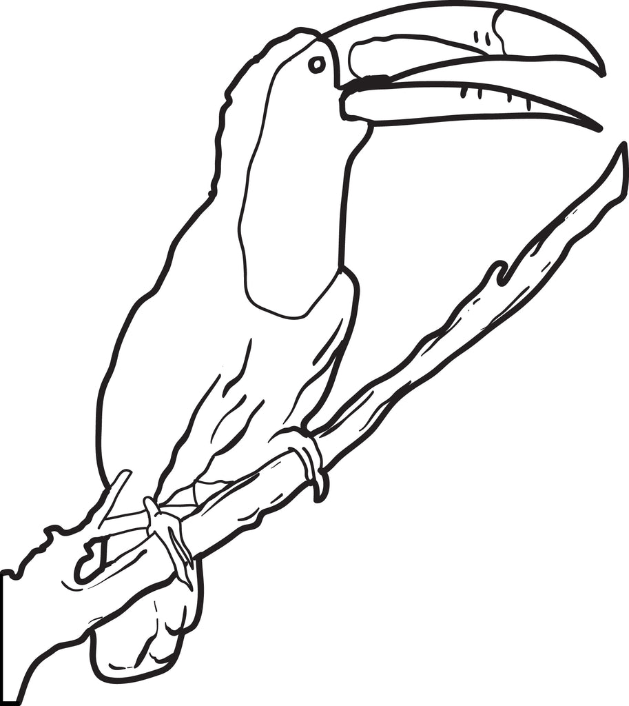 rainforest toucan coloring page