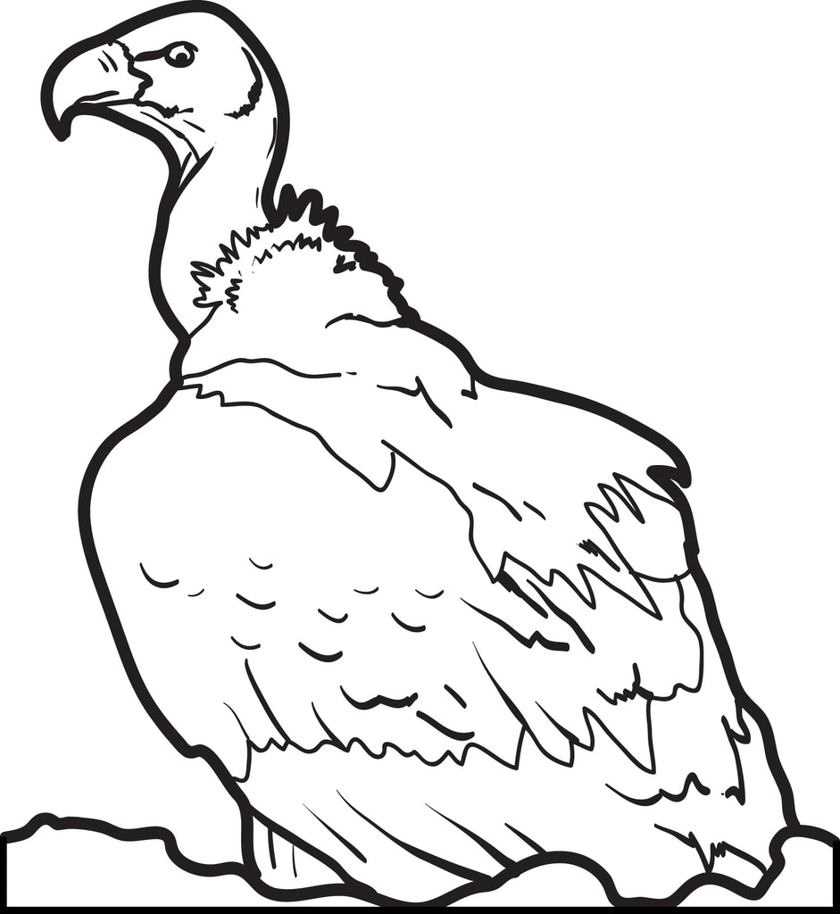 FREE Printable Vulture Coloring Page for Kids #2 – SupplyMe