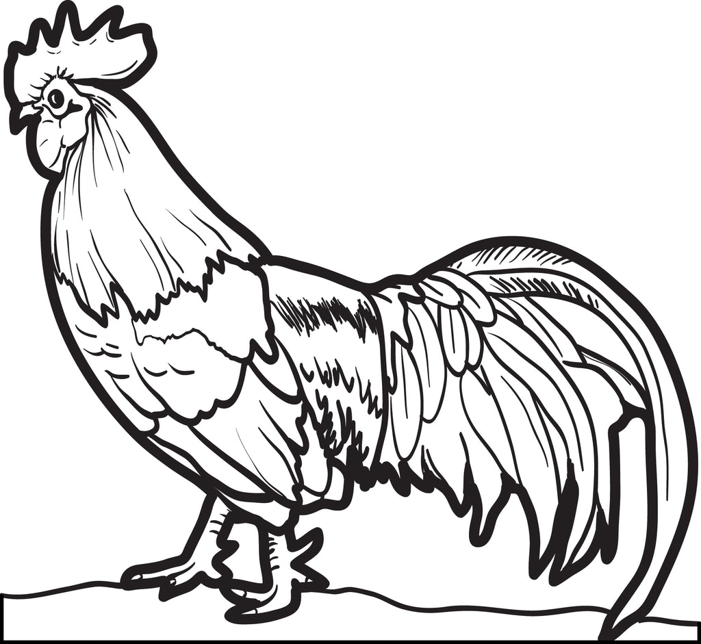 Printable Realistic Chicken Coloring Page for Kids – SupplyMe