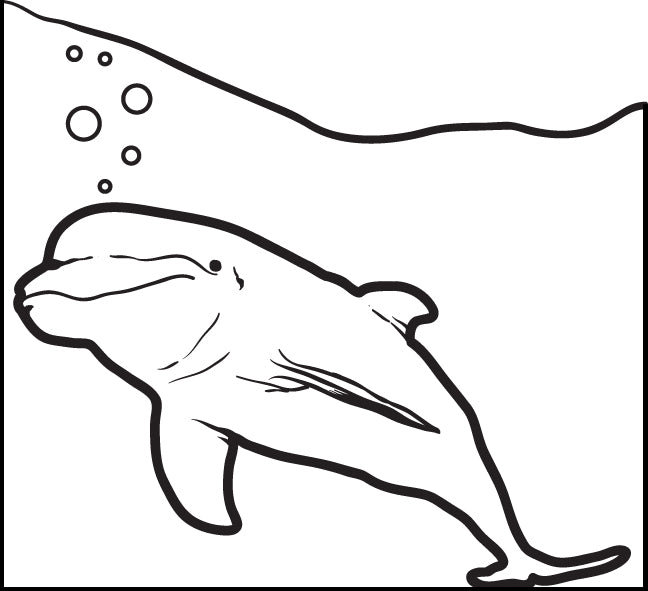 beluga coloring pages