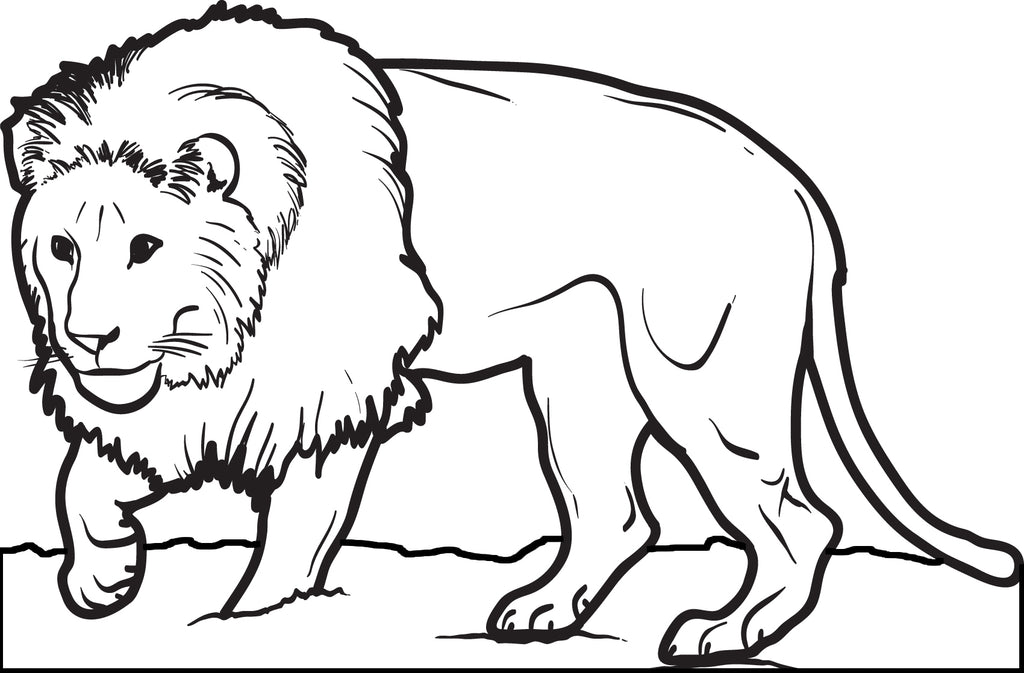 Printable male lion coloring page