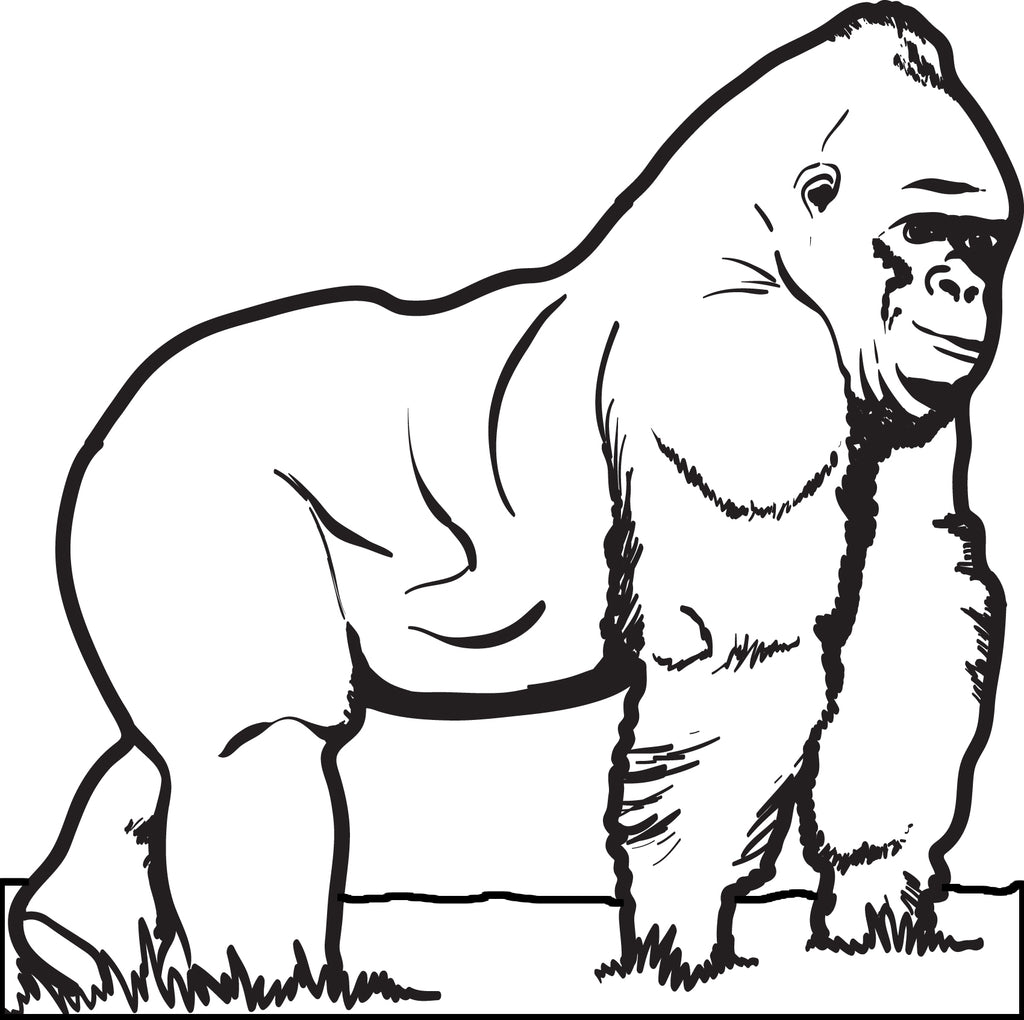 Free Printable Gorilla Coloring Page for Kids SupplyMe