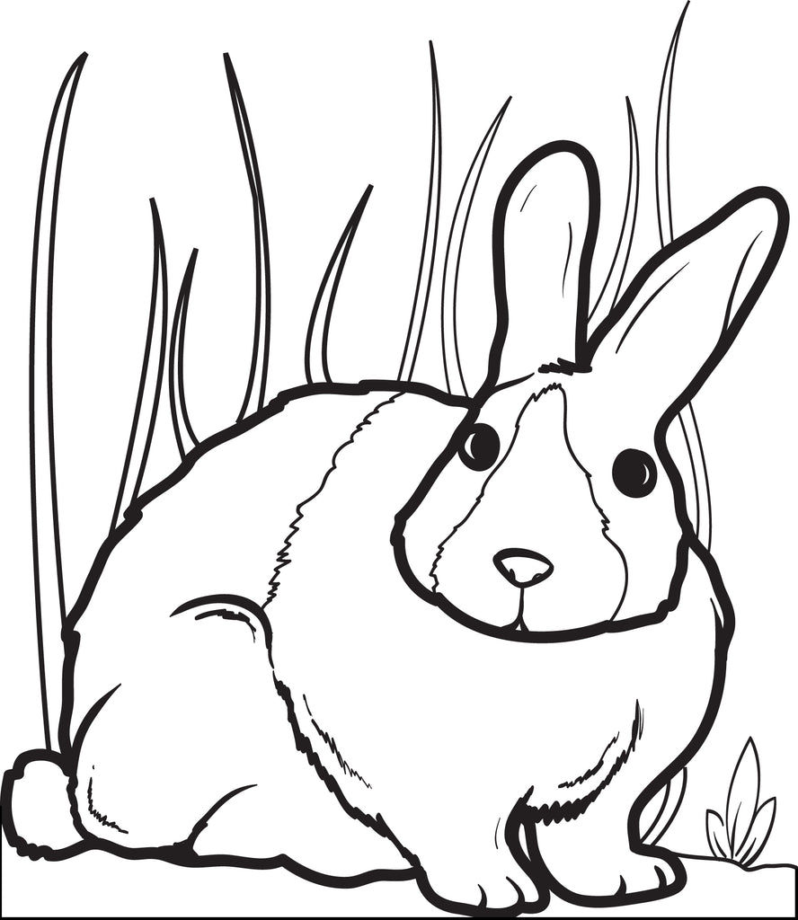 Printable Bunny Rabbit Coloring Page for Kids 2 SupplyMe