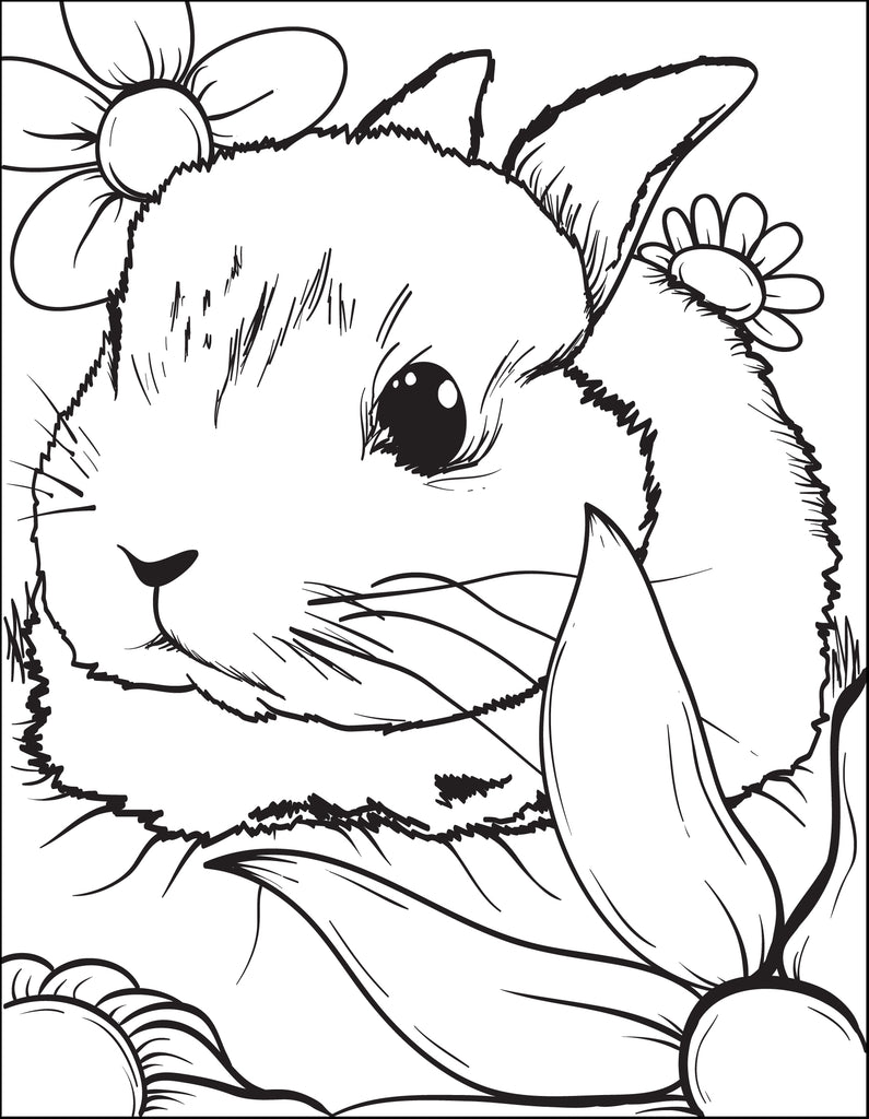 rabbit coloring book pages