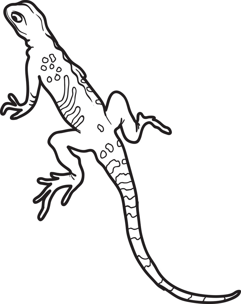 Printable Lizard Coloring Page for Kids – SupplyMe