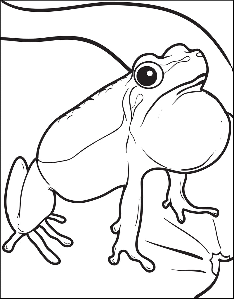 Frog Coloring Page #4