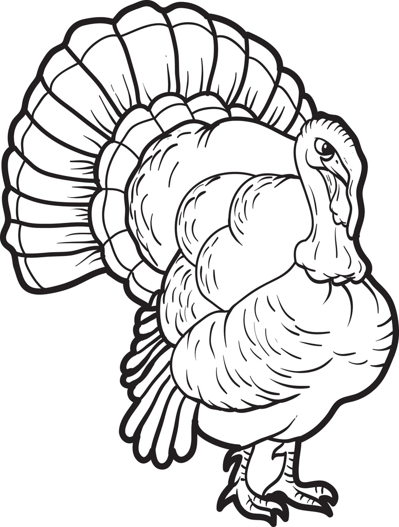 turkey coloring pages by numbers