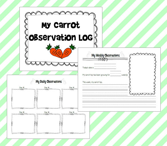 Spring Science - Carrot Top Experiment with Free Journal Printables!