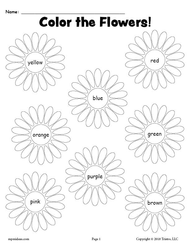 free printable flower color words worksheet supplyme