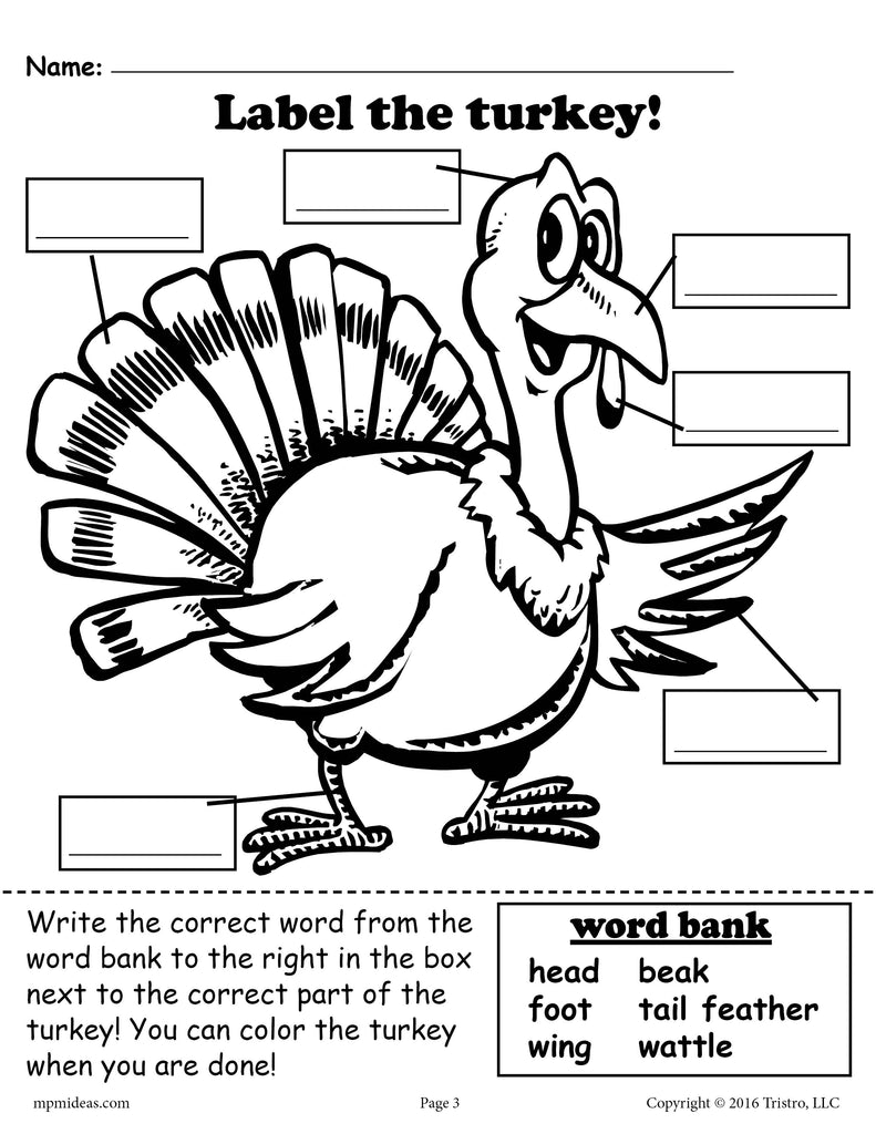 Free Printable Turkey Worksheets
