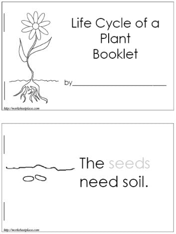 Download How Do Plants Grow? - SupplyMe