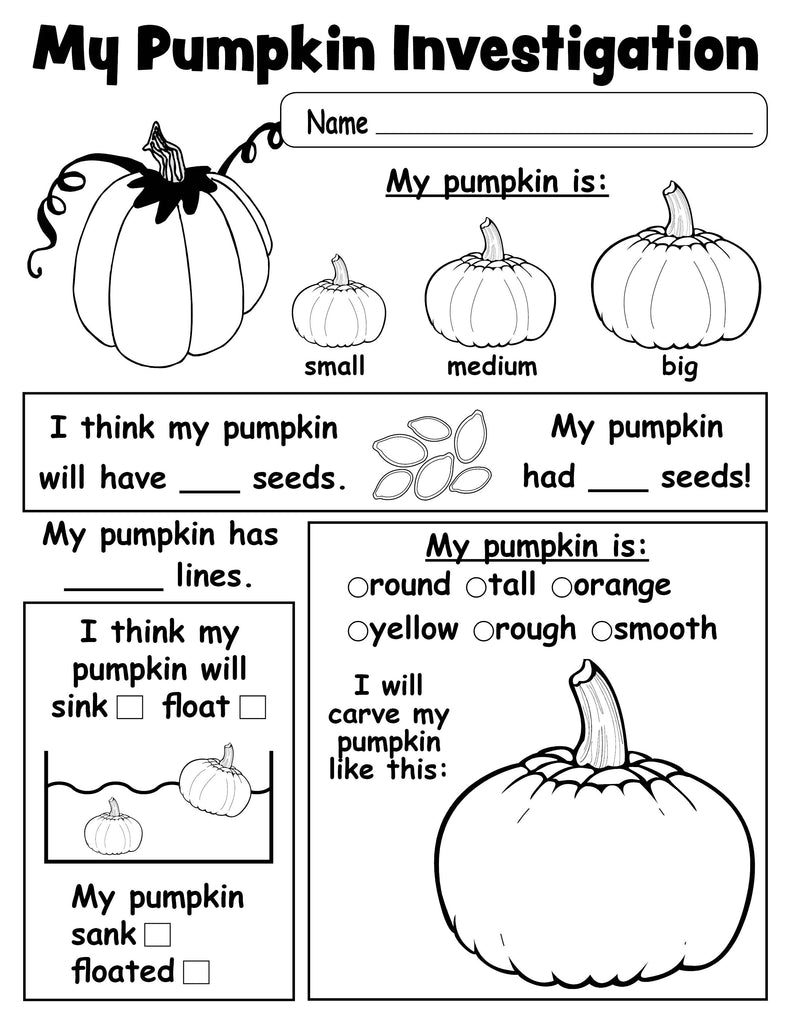 Pumpkin Investigation Worksheet Printable SupplyMe