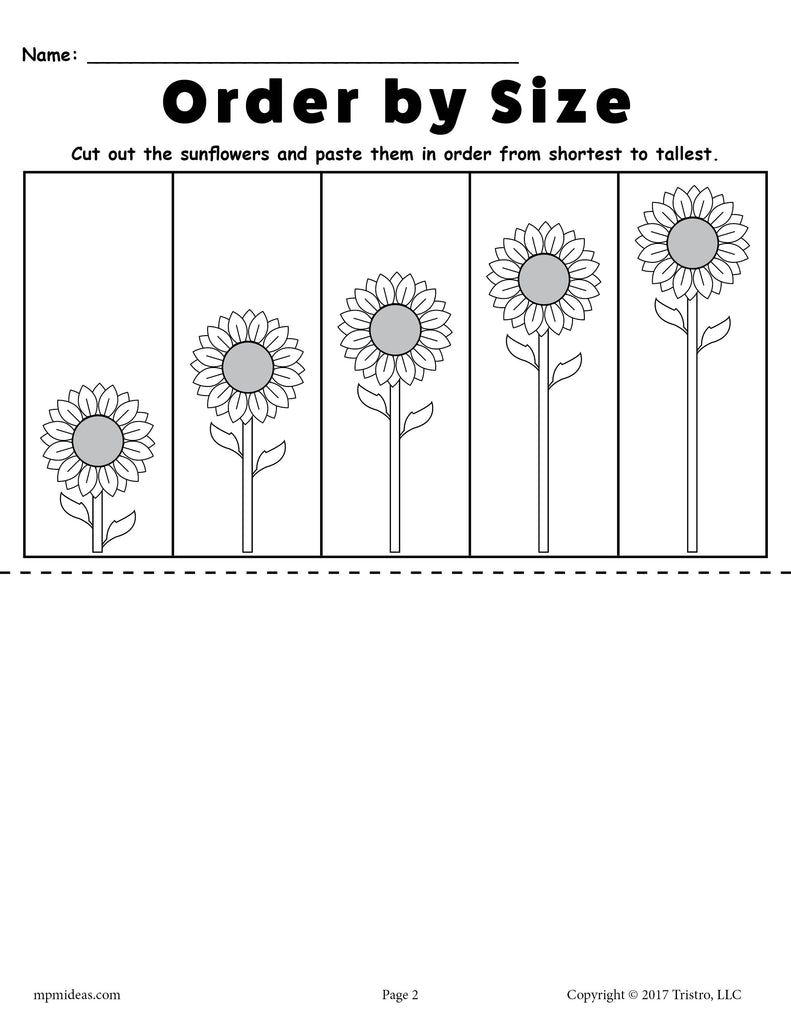 Shortest to Tallest Sunflower Ordering Worksheet Answer Key