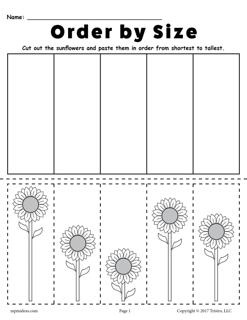 FREE Printable Sunflower Ordering Worksheet - Shortest to Tallest!