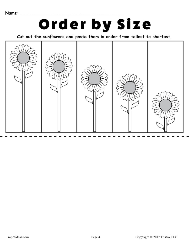 Tallest to Shortest Sunflower Ordering Worksheet Answer Key