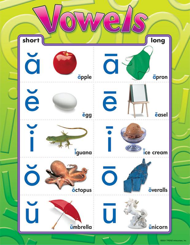 Trend Enterprises Vowels Learning Chart T 38032 – Supplyme