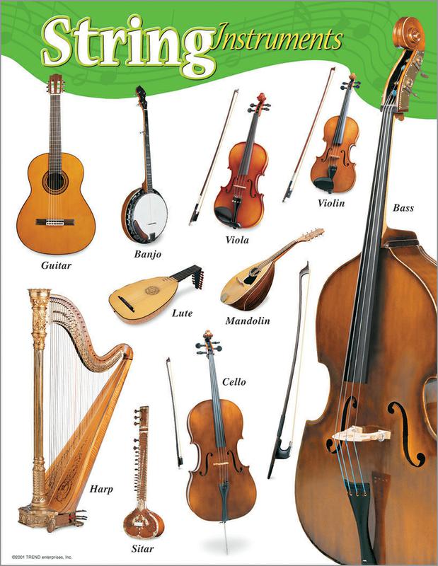 string instruments list with pictures and names