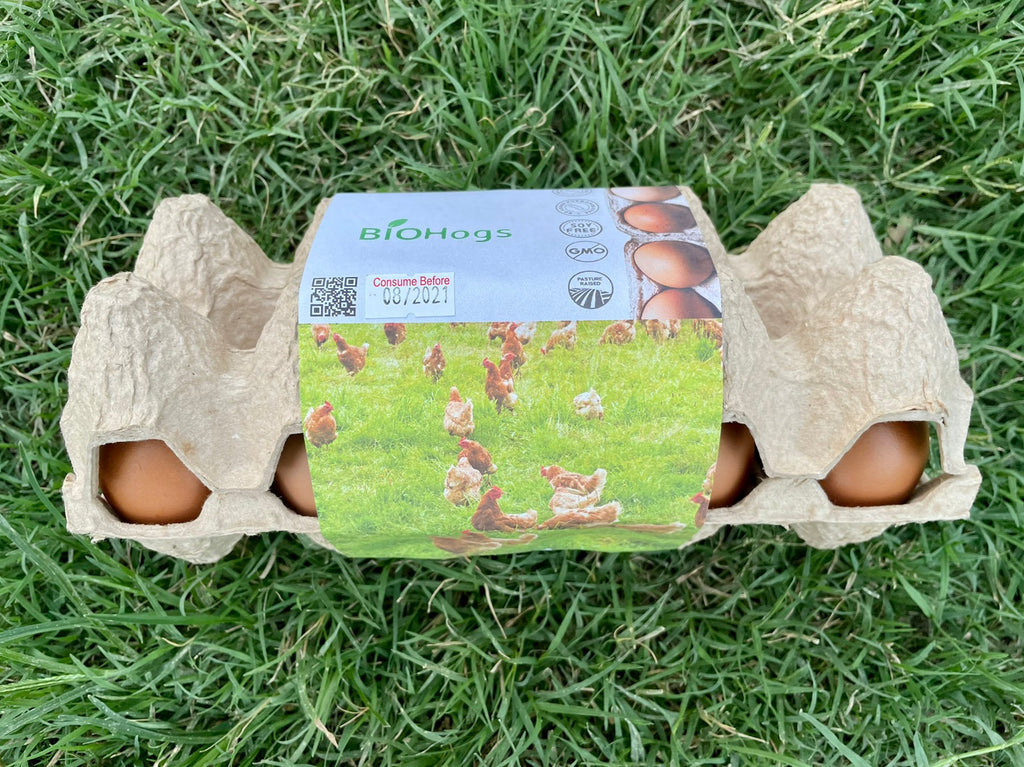 Free Range and Pasture Raised Eggs (10 pcs.) – BIOHogs - Jodini Organic ...