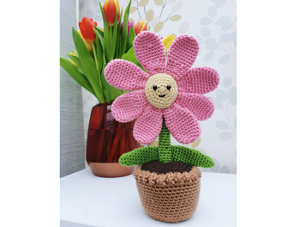 Crochet Flower In a Pot Kit and Pattern Deramores