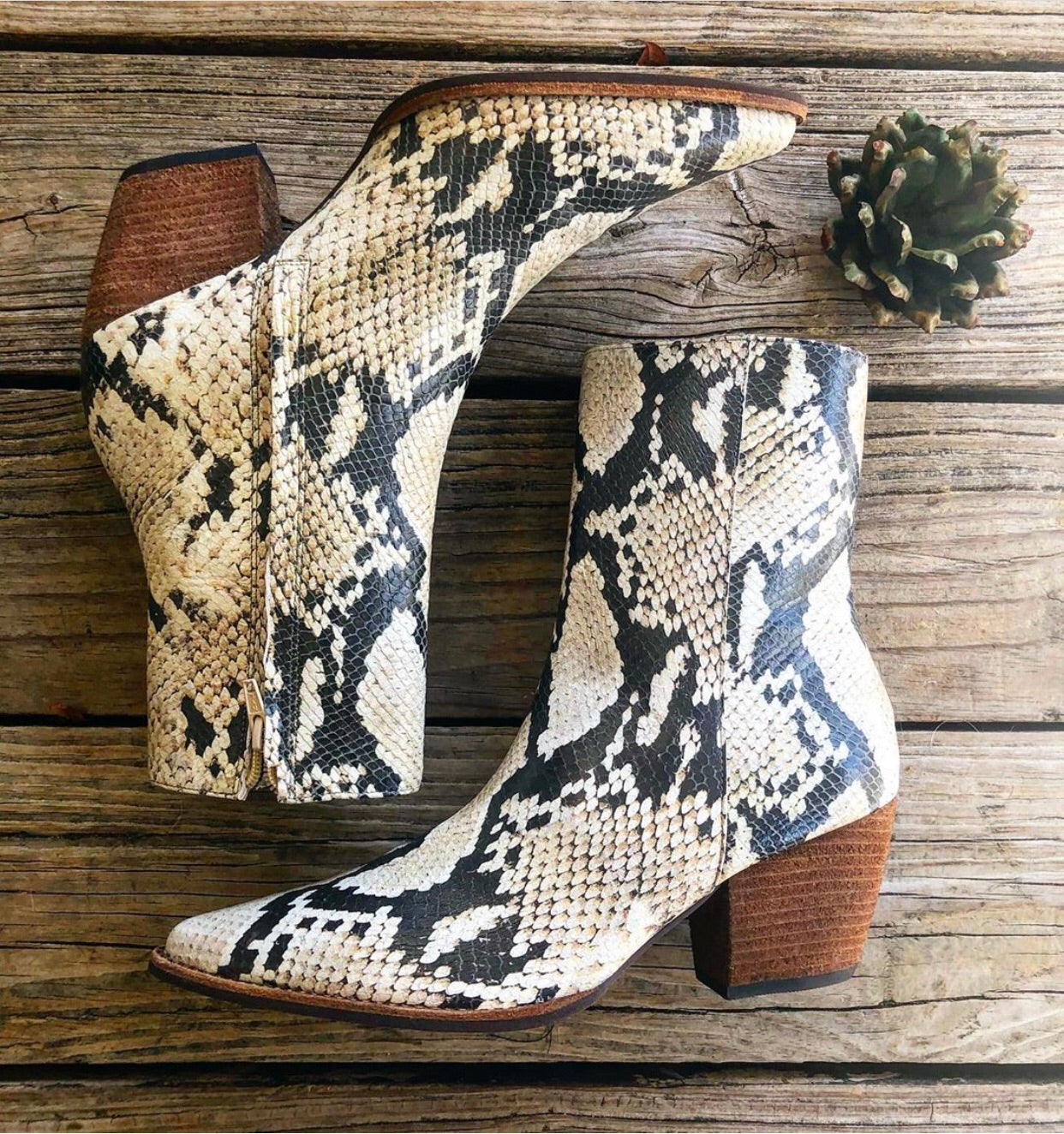 matisse snakeskin booties