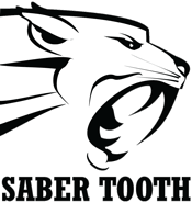Saber Tooth Valve Seat Cutter Blades