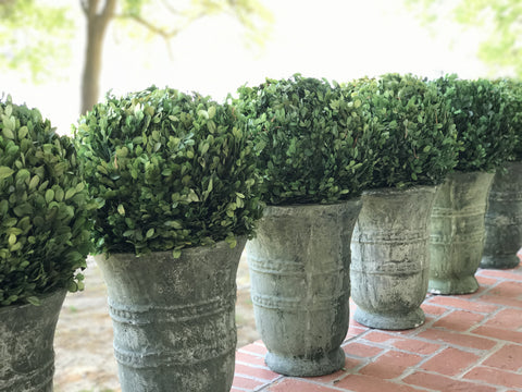 A. Dodson's Creative Coop Topiaries