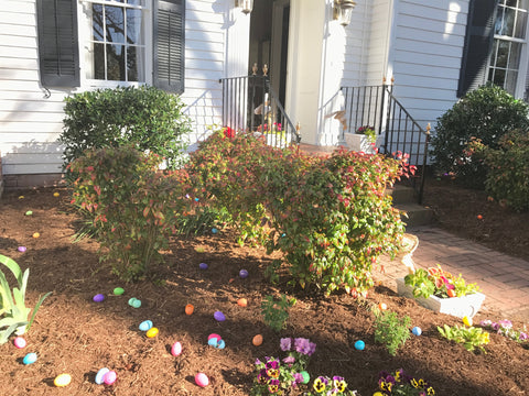 A. Dodson's Easter Egg Hunt