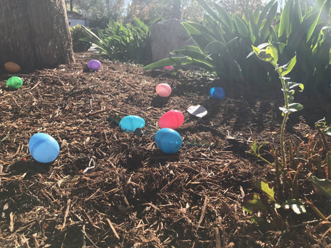 A. Dodson's Easter Egg Hunt