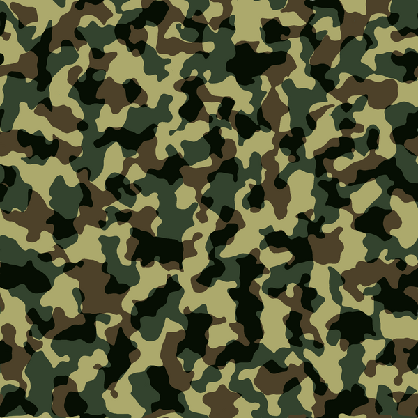 camouflage synonym