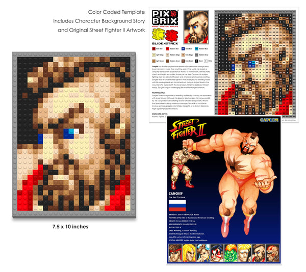 Ryu Street Fighter® Pixel Puzzle Bricks – Shop Here! – Pix Brix