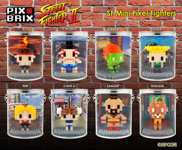 Ryu Street Fighter® Pixel Puzzle Bricks – Shop Here! – Pix Brix