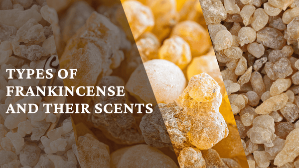 What Does Frankincense Smell Like